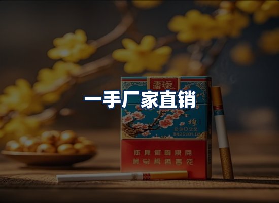 专业团队办公环境